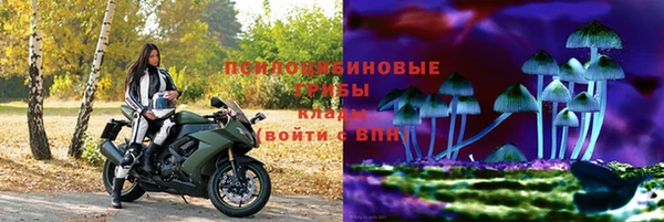 a pvp Зерноград