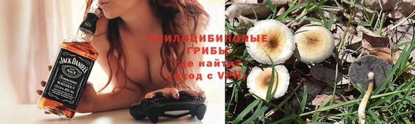 прущие крисы Зеленодольск